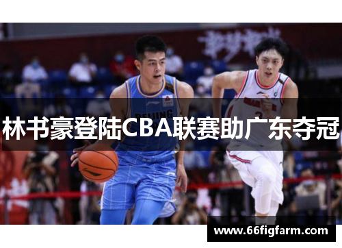 林书豪登陆CBA联赛助广东夺冠