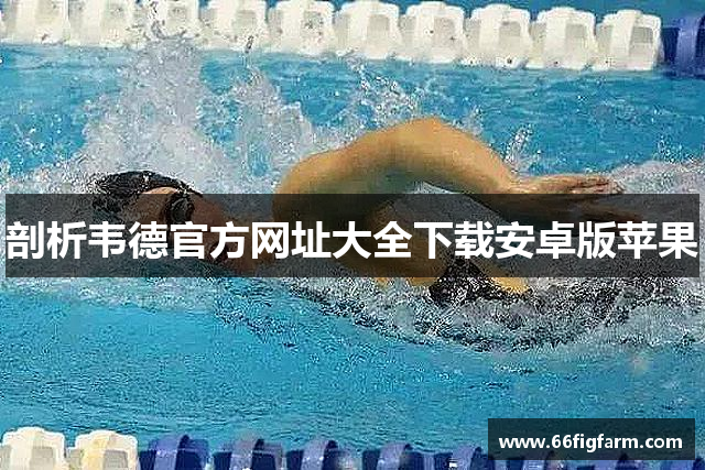 剖析韦德官方网址大全下载安卓版苹果